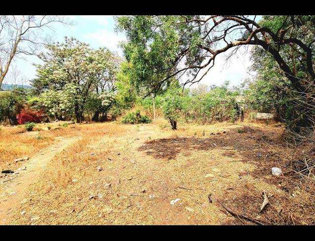 LAND FOR SALE IN FERNDALE